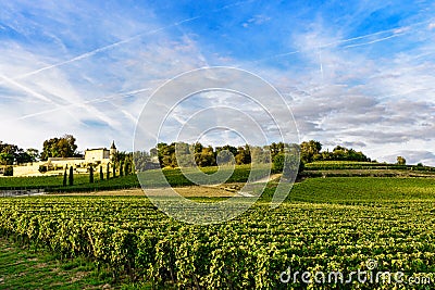 Vineyards of Saint Emilion, Bordeaux Wineyards in France Stock Photo