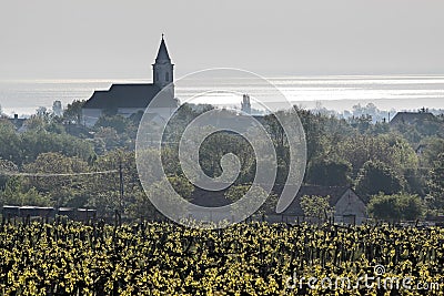 Vineyards and village church at Lake Balaton Stock Photo