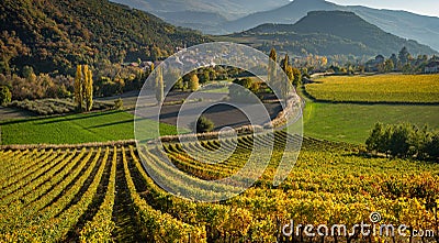 Vineyards and the village of Valserres in Autumn. Winery and grape vines in the Hautes-Alpes Stock Photo