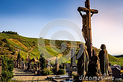 Vineyards on the wine road, Alsace, France Editorial Stock Photo