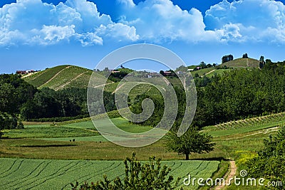 Vineyards and woods on the hill side Monte Dell`Olmo located in the municipality of Vinchio Piemonte Italy Stock Photo