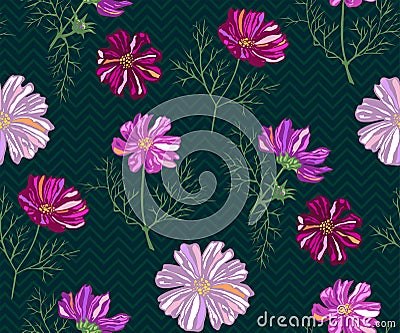 Seamless pattern with Cosmos bipinnatus. Hand drawing decorative background. Vector pattern. Print for textile, cloth, wallpaper, Stock Photo