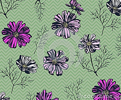 Seamless pattern with Cosmos bipinnatus. Hand drawing decorative background. Vector pattern. Print for textile, cloth, wallpaper, Stock Photo