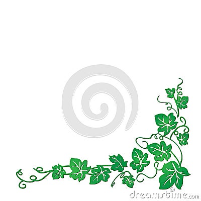 Vector image of a vine with leaves that are well suited for presentations, backgrounds, illustrations. Cartoon Illustration