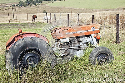 Vintage Abandoned Red Massey Ferguson 135 Tractor and Horses Editorial Stock Photo
