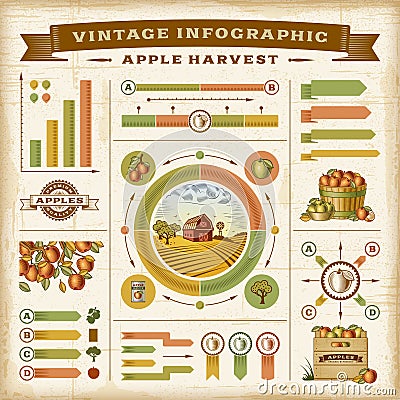 Vintage apple harvest infographic set Vector Illustration