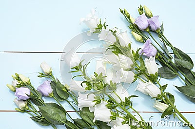 Vintage aqua green blue background with white, purple, lilac and yellow flowers with empty copy space Stock Photo