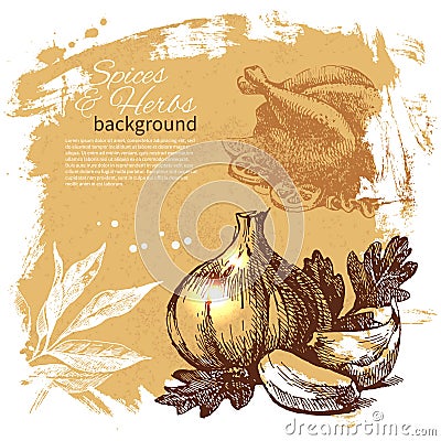 Vintage background with hand drawn sketch herbs and spices. Menu design Stock Photo