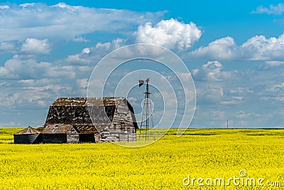 Vintage barn, bins and windmill in a swathed canola field under ominous dark skies Stock Photo
