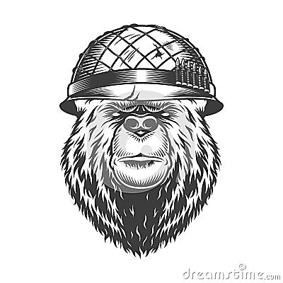 Vintage bear head in soldier helmet Vector Illustration