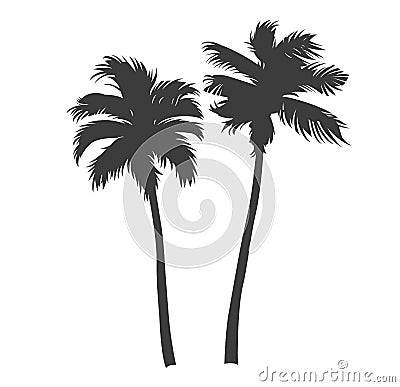 Vintage beautiful palm trees Vector Illustration