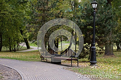 Vintage bench in a city park. The trees show colorful autumn leaves Stock Photo