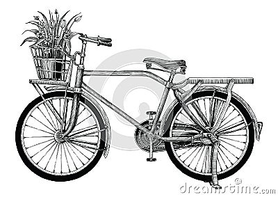 Vintage bicycle and flower pot hand drawing clip art isolated on Vector Illustration