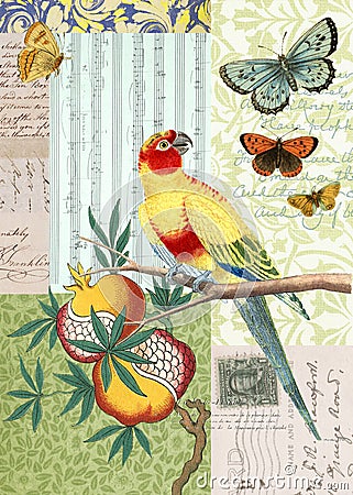 Vintage Bird and Butterfly Postcard Collage Stock Photo