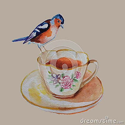 Vintage bird on the cup of tea Vector Illustration