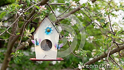 Vintage birdhouse on the background of a blossoming apple tree. Stock Photo