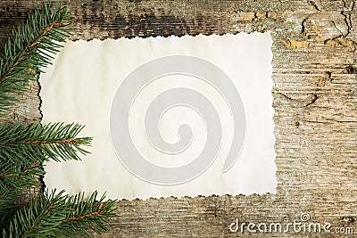 Vintage blank paper cards with christmas tree branches Stock Photo