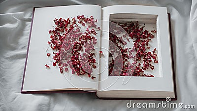 Vintage books with dried red flowers on a white bed. Concept Nostalgic and remembrance vintage background Stock Photo