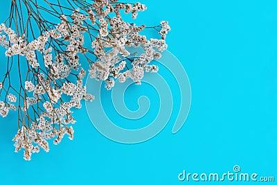 Vintage bouquet of tiny white flowers in the corner on blue. Floral background with copy space. Baroque old fashioned style Stock Photo