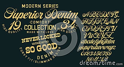 Vintage brush script lettering font Vector Illustration