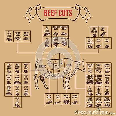 Vintage butcher cuts of beef diagram Vector Illustration