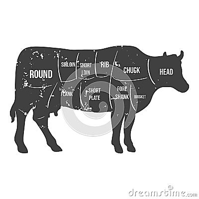 Vintage butcher cuts of beef diagram vector Vector Illustration