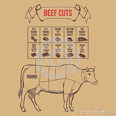 Vintage butcher cuts of beef scheme vector Vector Illustration