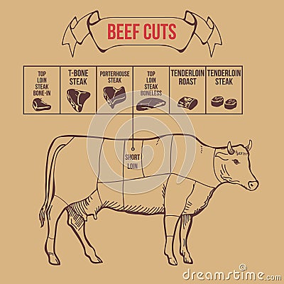 Vintage butcher cuts of beef scheme vector Vector Illustration