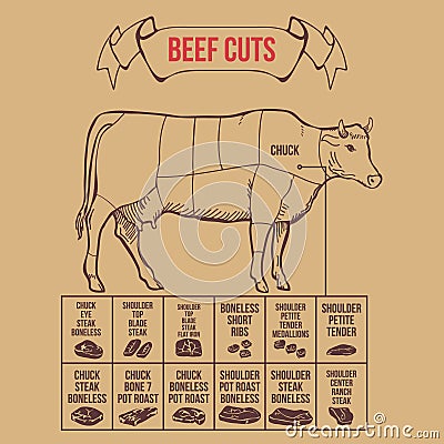 Vintage butcher cuts of beef scheme vector Vector Illustration