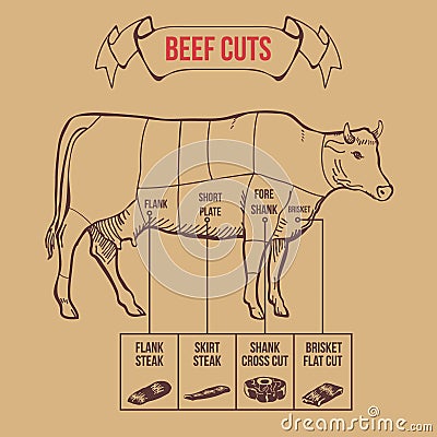 Vintage butcher cuts of beef scheme vector Vector Illustration