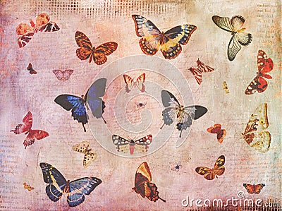Vintage butterfly background collage Stock Photo