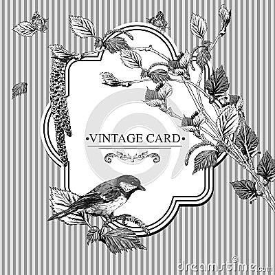 Vintage Card with Birch Twigs and Bird Tit Vector Illustration