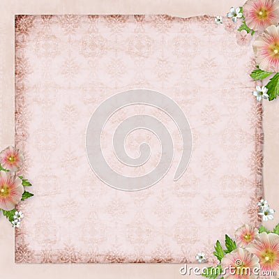 Vintage card and pink mallow Stock Photo