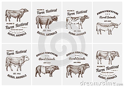 Vintage cards. Farm cattle bulls and cows. Different breeds of domestic animals. set of posters. Engraved hand drawn Vector Illustration