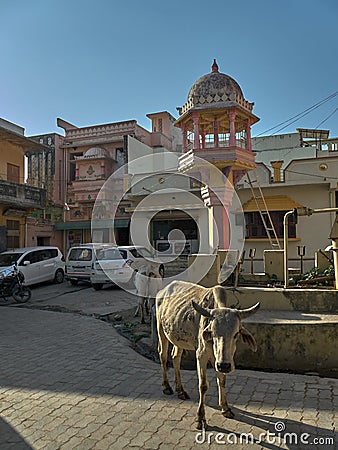 Vintage Chabutro or pigeon feeder and stray cow food spot near house at old part of Idar town Sabarkantha Gujarat Stock Photo