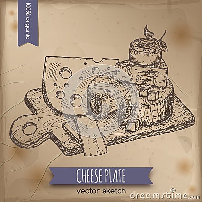 Vintage cheese plate template Vector Illustration