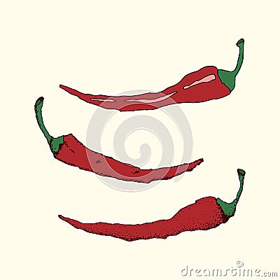 Vintage chili peppers Vector Illustration