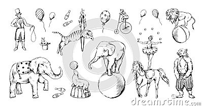 Vintage circus animal set. Bear on bike, sketch elephant and tiger, cute monkey on bicycle hand drawing. Acrobat and Vector Illustration