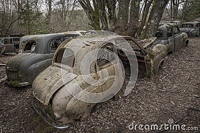 Vintage and classic cars decaying for for decades in nature Stock Photo