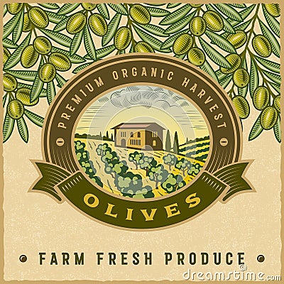 Vintage colorful olive harvest label Vector Illustration