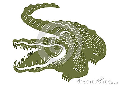 Vintage crocodile - hand drawn vector illustration Vector Illustration