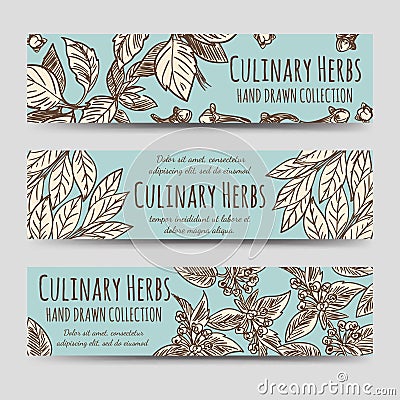 Vintage culinary herbs horizontal banners Vector Illustration