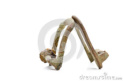 Vintage and damaged strap, buckle isolated on white Stock Photo