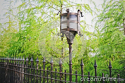 Vintage decorative electric street lamp behind iron fence in nat Stock Photo