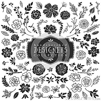 Vintage decorative plants and flowers collection. Hand drawn Vector Illustration