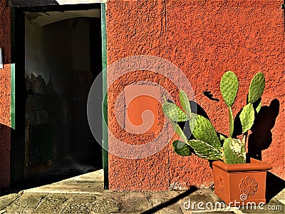 Vintage details, red wall and grass plant in Portofino village, Genoa province, Liguria region, Italy Stock Photo