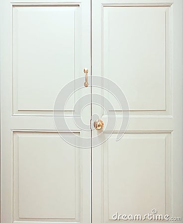 The vintage retro door. Stock Photo