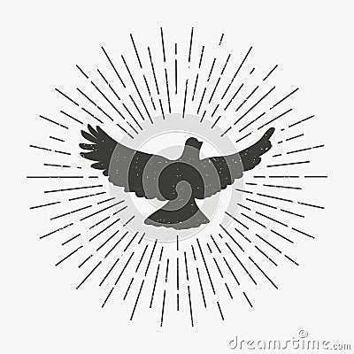 Vintage dove with sunburst. pigeon logo symbol. Isolated. Vector Illustration