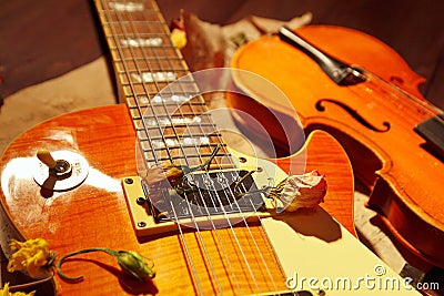 Vintage electric jazz guitar, rare violin and dried flowers closeup Stock Photo