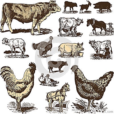 Vintage farm animals drawings set. Vector EPS10 Vector Illustration